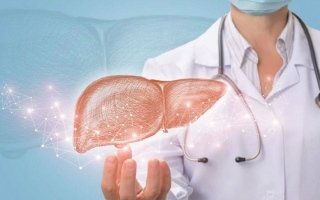 wp header logo17514648431888755032