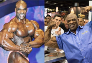 wp header logo17515260131890367164