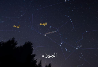 wp header logo1751572860533867640