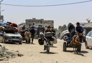 wp header logo1751839284991191020