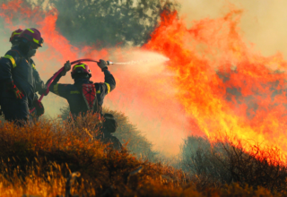 wp header logo1751871653963517577