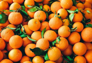 wp header logo17523648161585257281