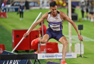 wp header logo17523684981655990971