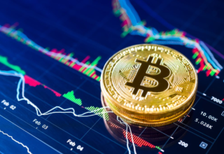 wp header logo17524728071969769504