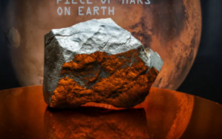 wp header logo17524728502112298718