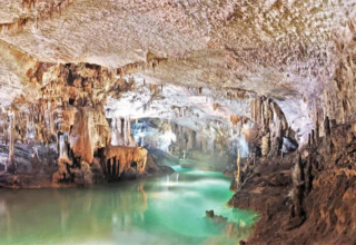 wp header logo1752516021349286021