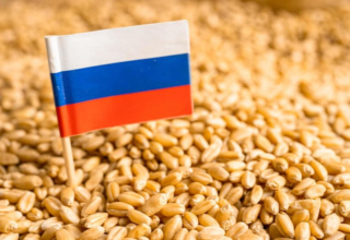 wp header logo1752580843746551801