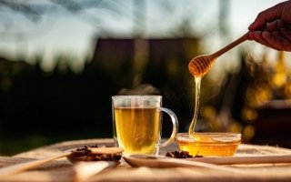 wp header logo175266361270514302