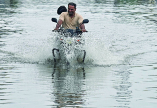 wp header logo1752717614574737056