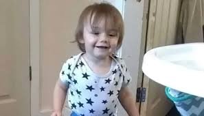 wp header logo17527320481335385344