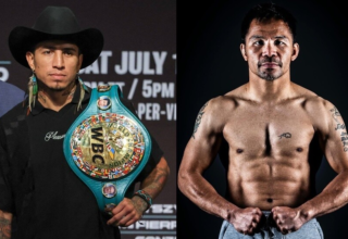 wp header logo17527464111353337530