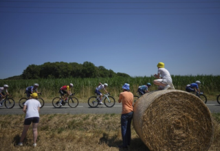 wp header logo17528076272070364859