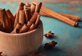 wp header logo1753070410197202829