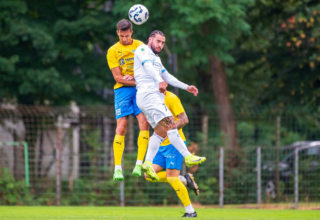 wp header logo175307042369000789