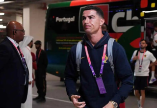 wp header logo17531784491713287041