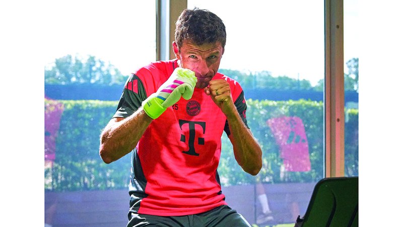 wp header logo17534952121251785541