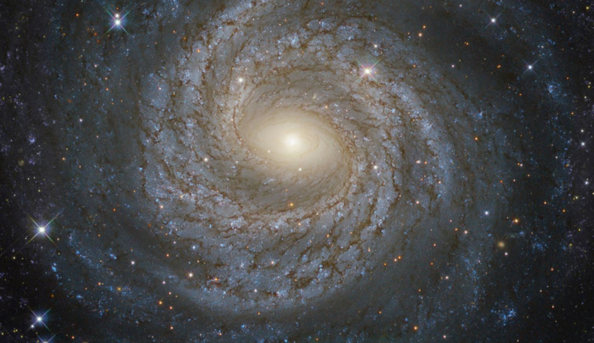 wp header logo1753509608367574340