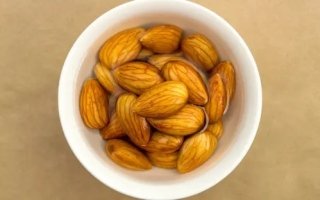 wp header logo1753678809369753271