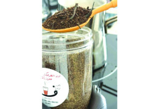 wp header logo1753678859696921896