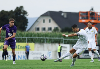 wp header logo1753920042786153743