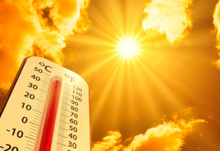 wp header logo1754136026488306119