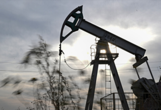 wp header logo1754182862359786828