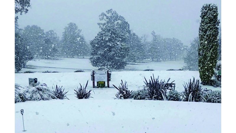 wp header logo17542728101178259591