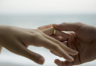 wp header logo17542728243099871