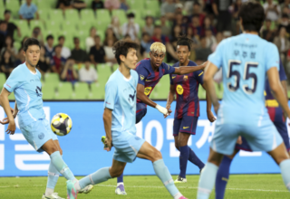 wp header logo175433043133066793