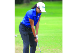 wp header logo17543592211920218915