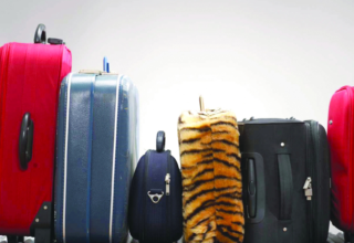 wp header logo17543628231157393606