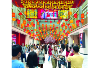 wp header logo17543628661123840847