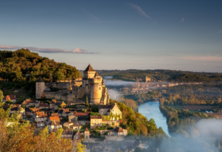 wp header logo17544024142015359456