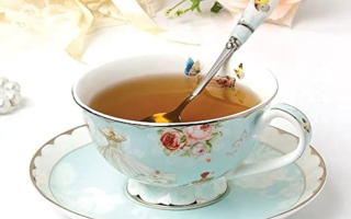 wp header logo17546364211881515532