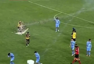 wp header logo17547300631689814616