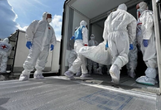 wp header logo17547336202093672663