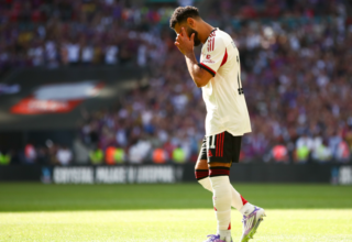 wp header logo17548560141846989199