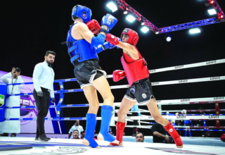 wp header logo17550144331861264036