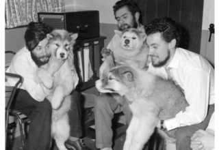 wp header logo17550612402084191990