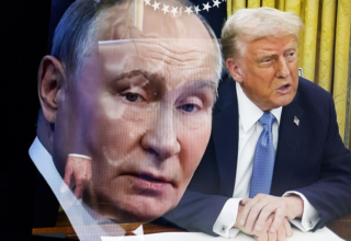 wp header logo1755104449741276256