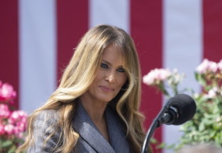 wp header logo17551440951729224850