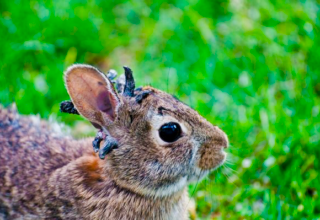 wp header logo17551872111185380054