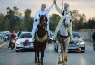 wp header logo17551872391320483250