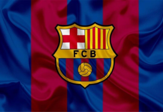 wp header logo17553024461286468652