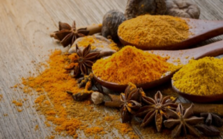 wp header logo1755324007898574816