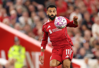 wp header logo175534920982681837