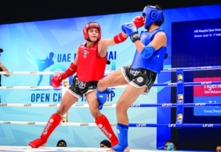 wp header logo17553924171870798343