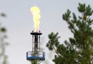 wp header logo17555832241996358866