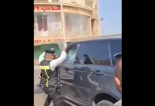 wp header logo17555832761199952901