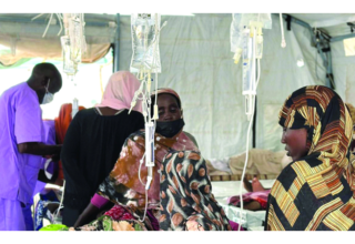 wp header logo1755608409909947012